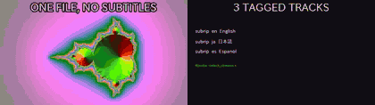 Three subtitle tracks in one file